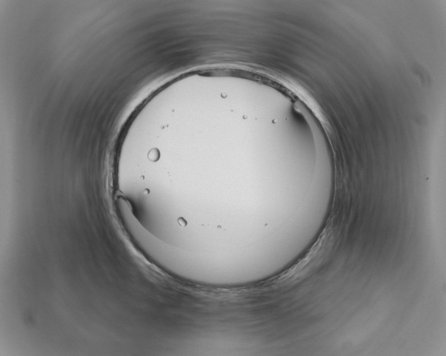 X0000112031101200909141051