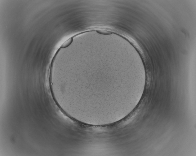 X0000112031102200909141051
