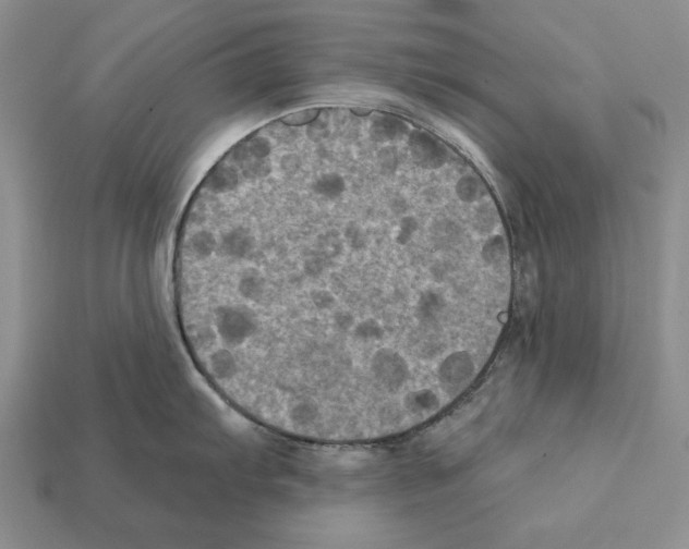 X0000112031103200909141051