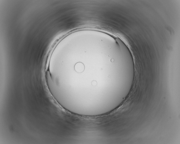 X0000112031104200909141051