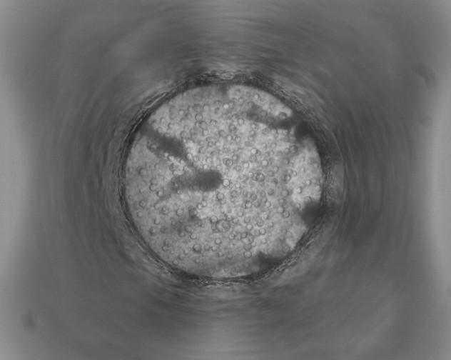 X0000112031105200909141051