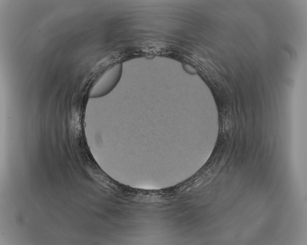 X0000112031106200909141051