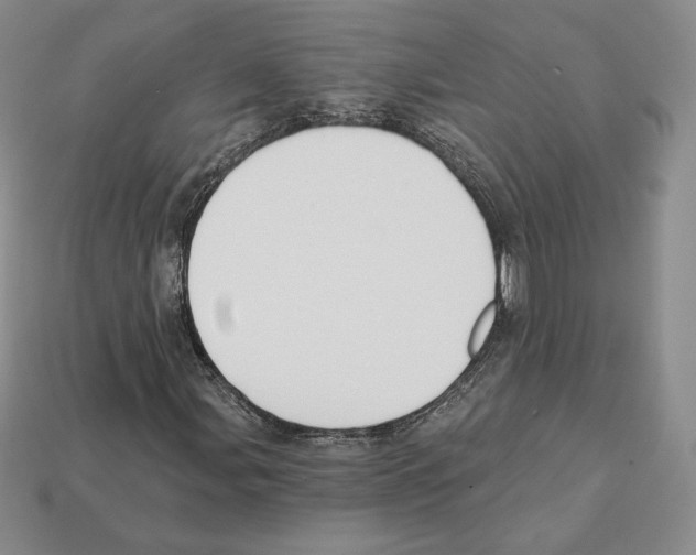 X0000112031107200909141051