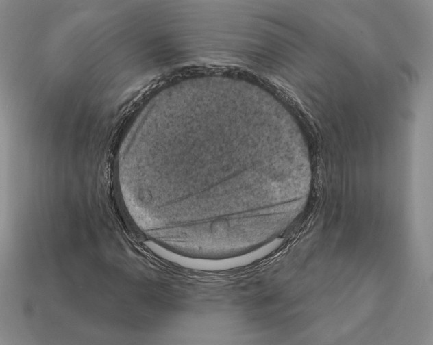 X0000112031110200909141051