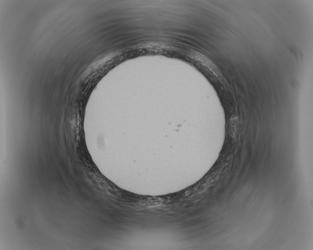 X0000112031111200909141051