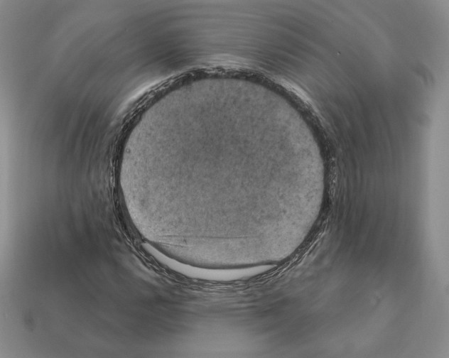X0000112031112200909141051