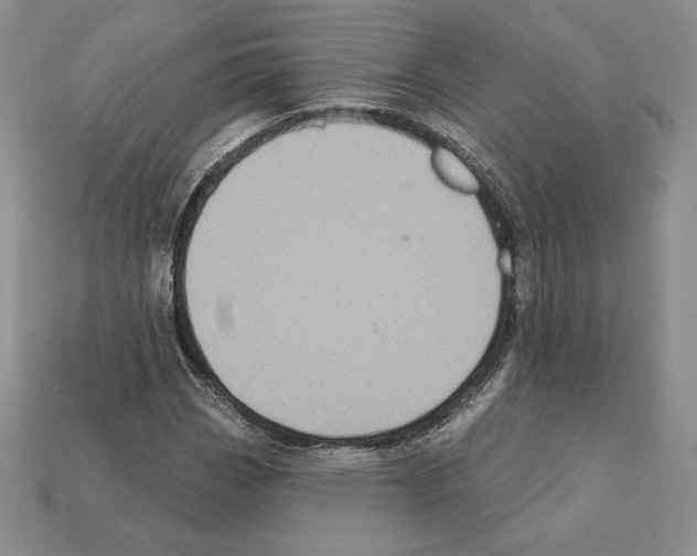 X0000112031113200909141051