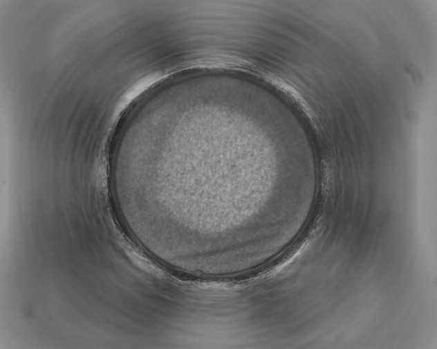 X0000112031114200909141051