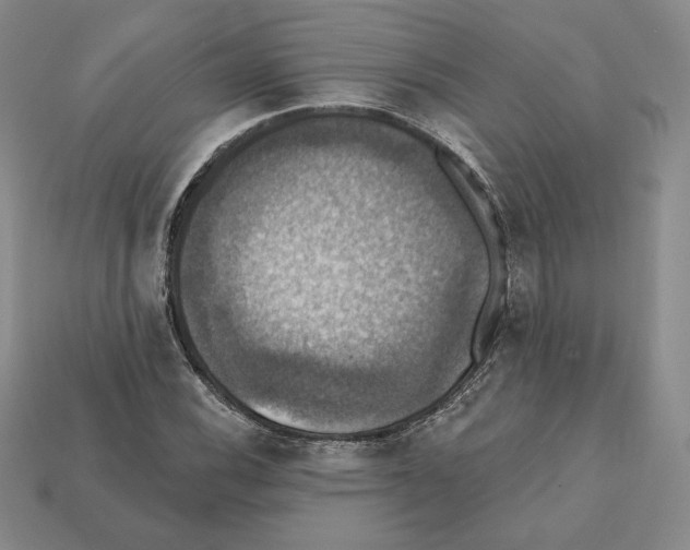 X0000112031116200909141051