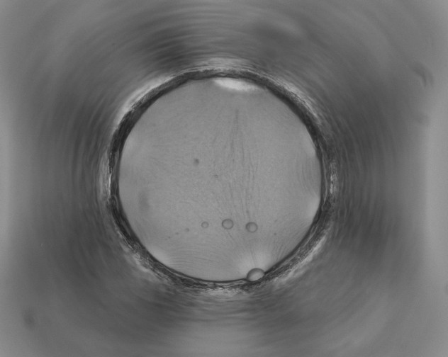 X0000112031117200909141051