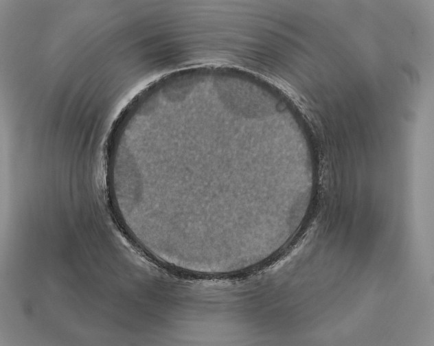 X0000112031118200909141051