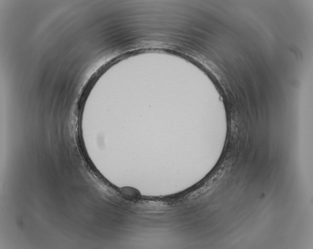 X0000112031119200909141051