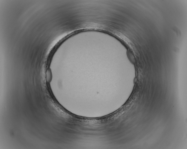 X0000112031120200909141051