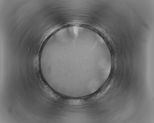 X0000112031121200909141051