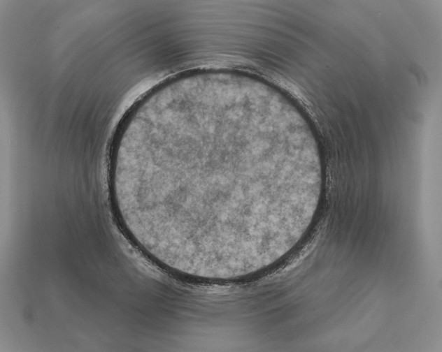 X0000112031122200909141051