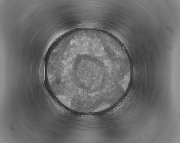 X0000112031123200909141051