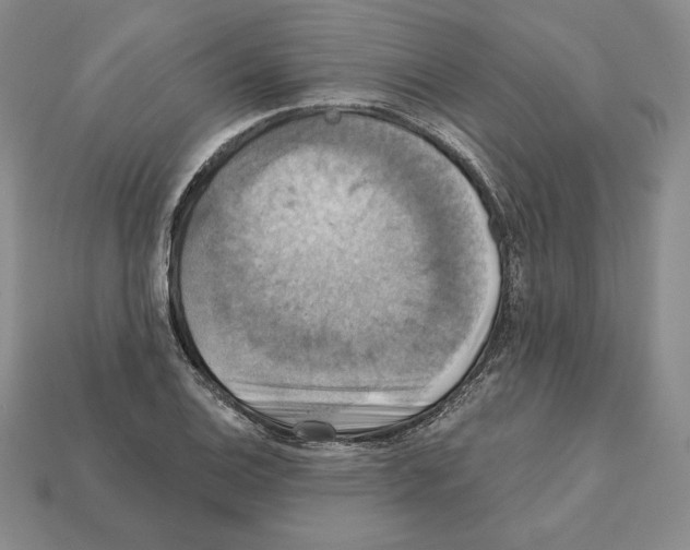 X0000112031124200909141051