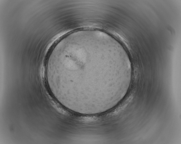 X0000112031125200909141051