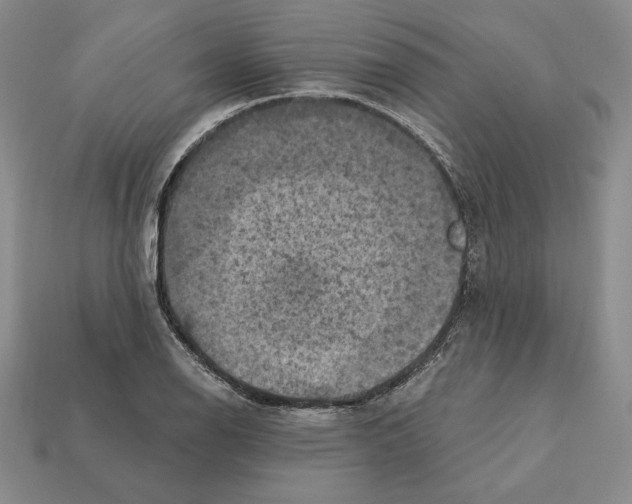 X0000112031126200909141051