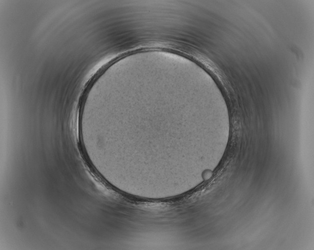X0000112031127200909141051