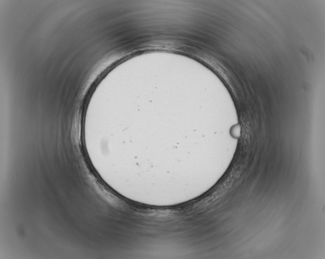 X0000112031131200909141051