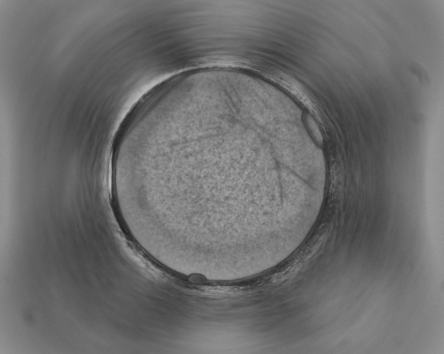 X0000112031132200909141051