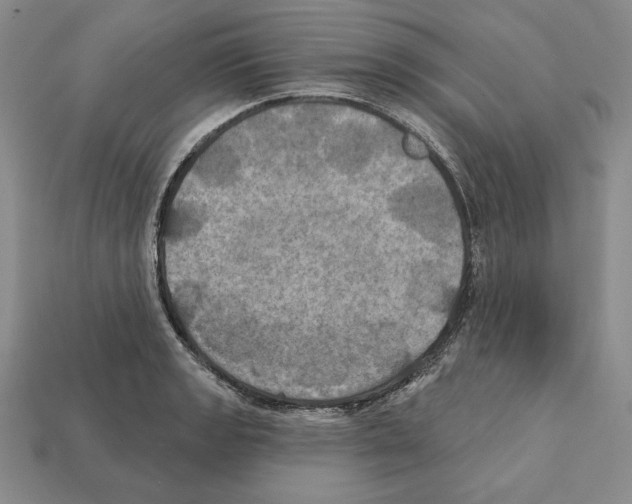 X0000112031133200909141051