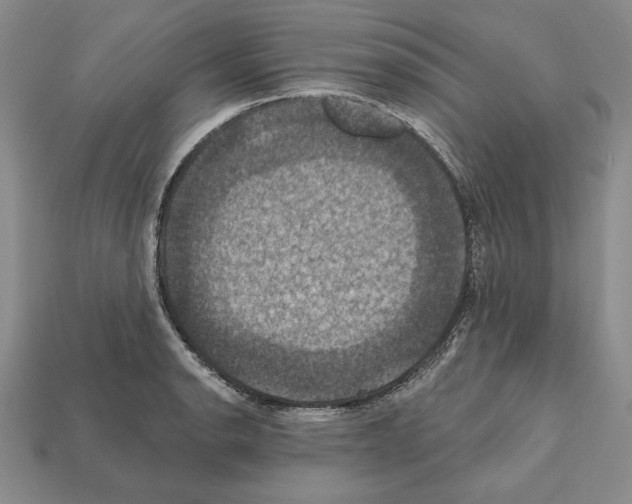 X0000112031134200909141051