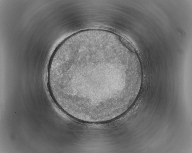 X0000112031136200909141051