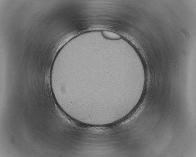 X0000112031137200909141051