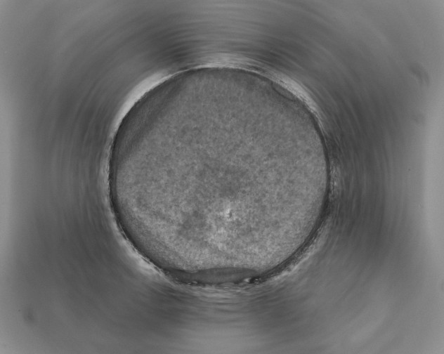 X0000112031138200909141051