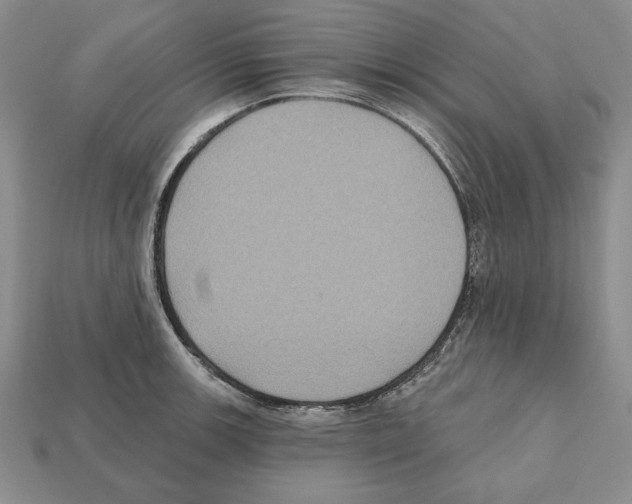 X0000112031139200909141051