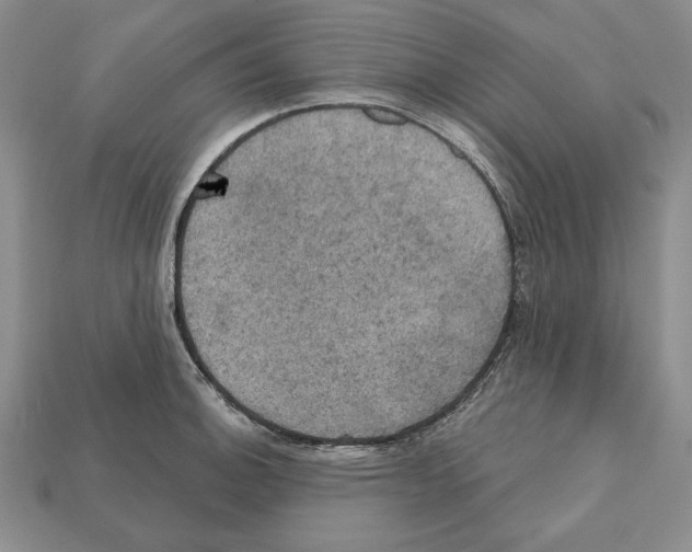 X0000112031140200909141051
