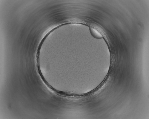 X0000112031141200909141051