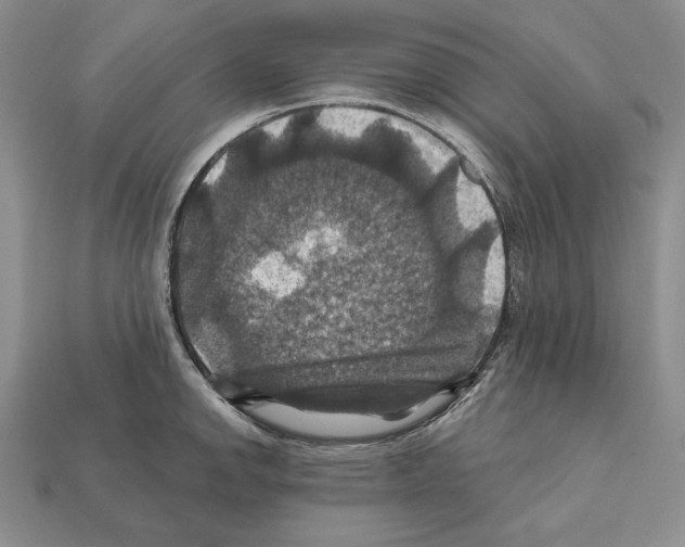 X0000112031142200909141051