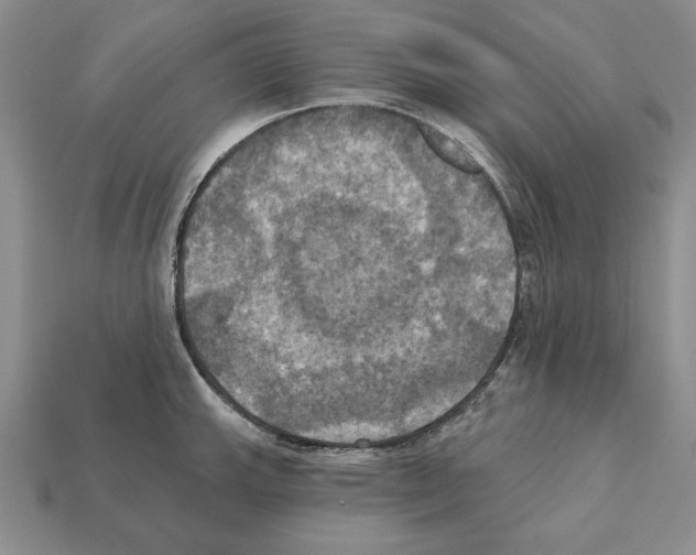 X0000112031143200909141051