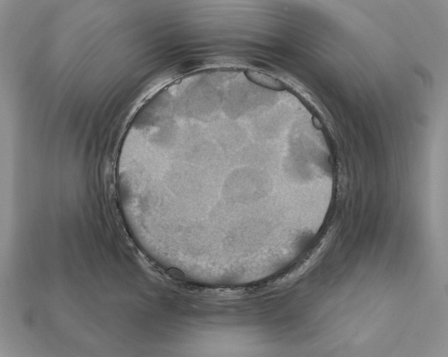 X0000112031145200909141051