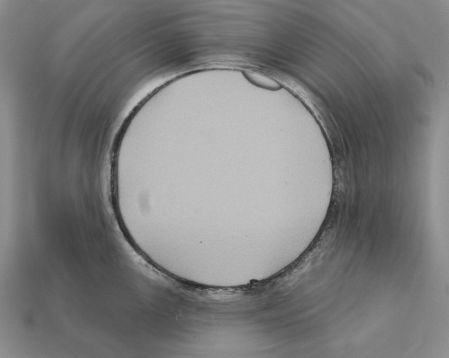 X0000112031147200909141051