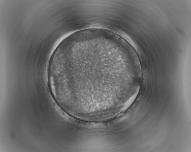 X0000112031148200909141051