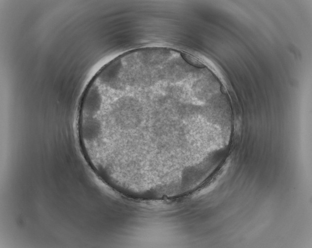 X0000112031149200909141051