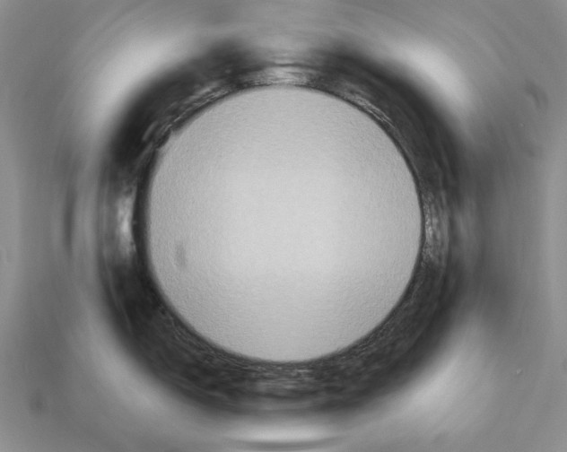 X0000112031150200909141051