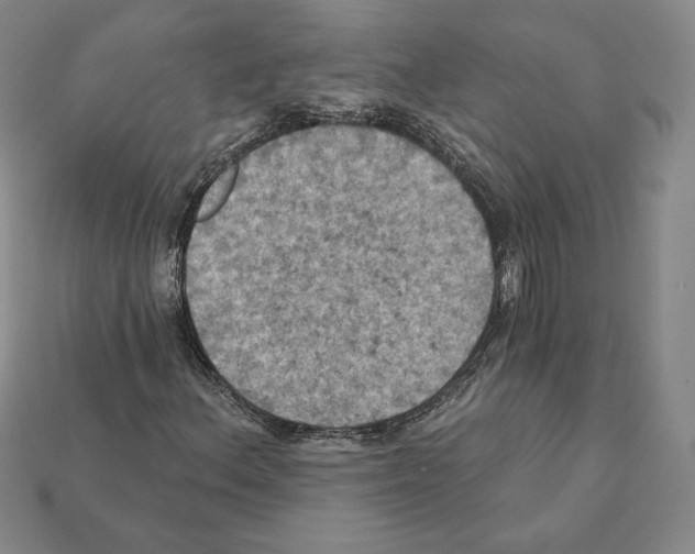 X0000112031156200909141051