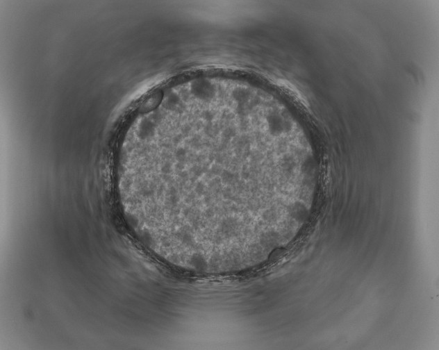 X0000112031159200909141050