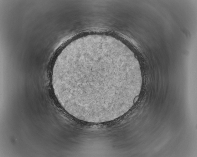 X0000112031160200909141050
