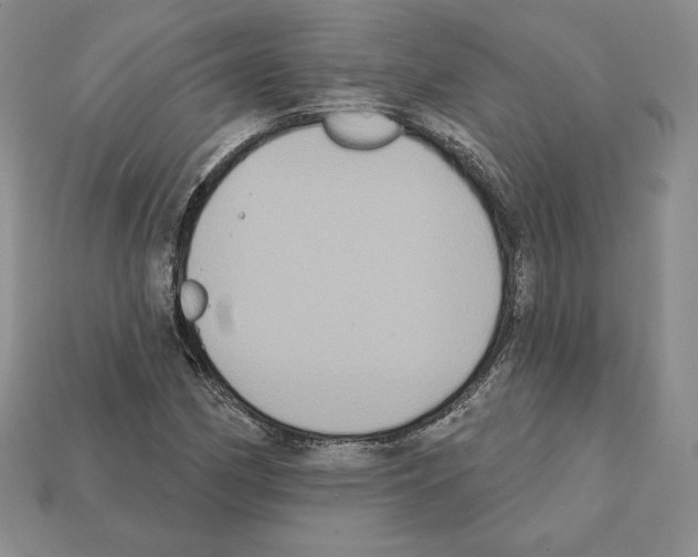 X0000112031162200909141050