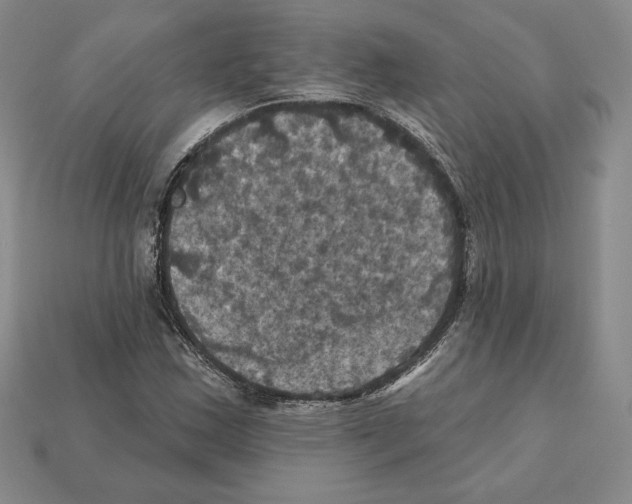 X0000112031163200909141050
