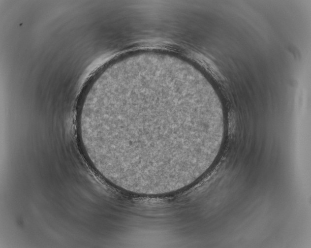 X0000112031164200909141050