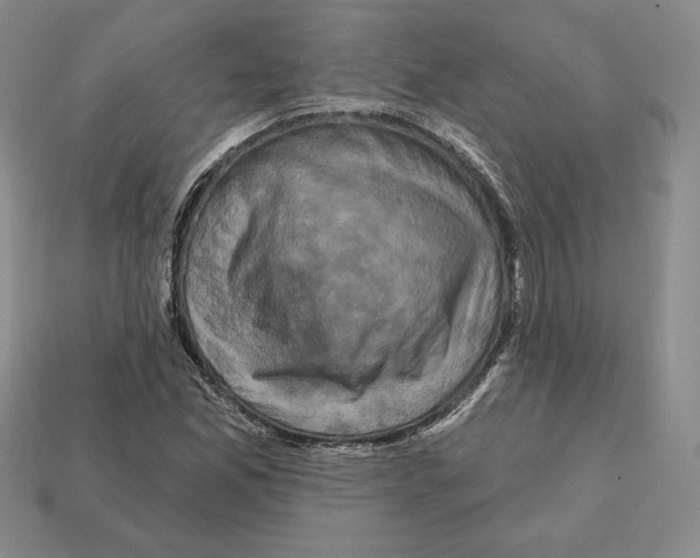 X0000112031165200909141050