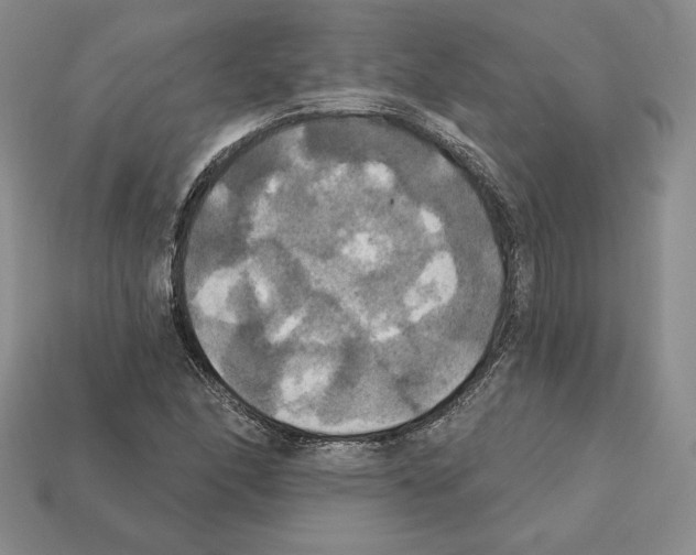 X0000112031166200909141050