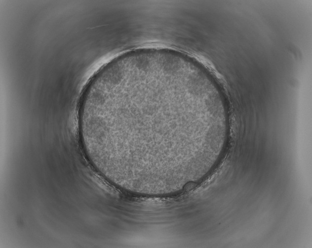 X0000112031167200909141050